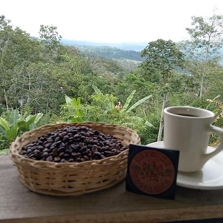 Hotel Green Mountain Turrialba Ngoại thất bức ảnh