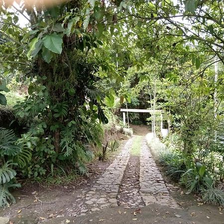 Hotel Green Mountain Turrialba Ngoại thất bức ảnh