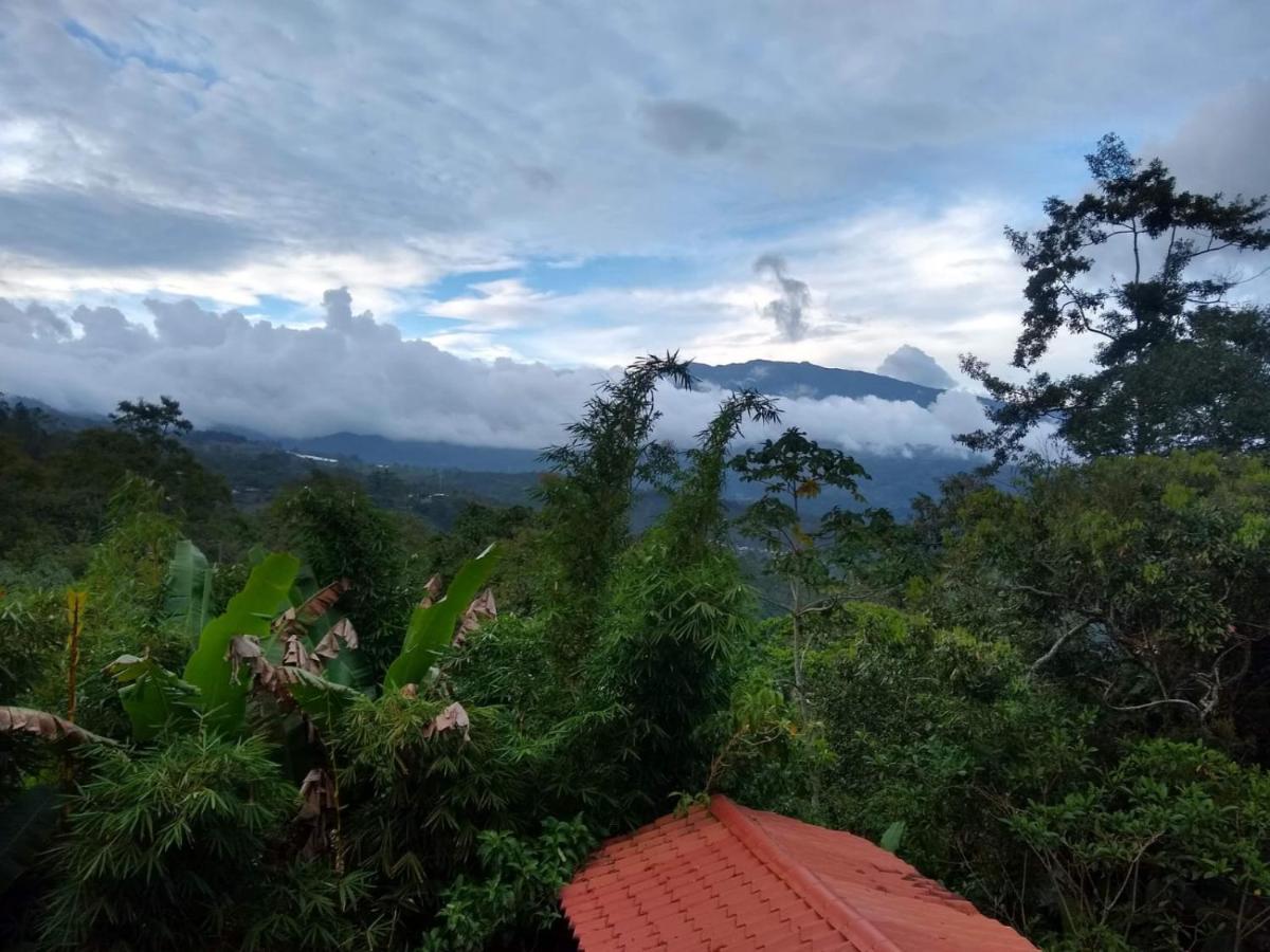 Hotel Green Mountain Turrialba Ngoại thất bức ảnh