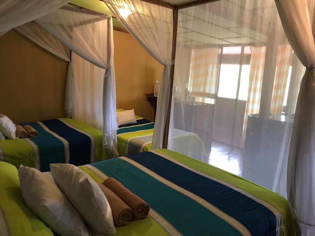Hotel Green Mountain Turrialba Ngoại thất bức ảnh
