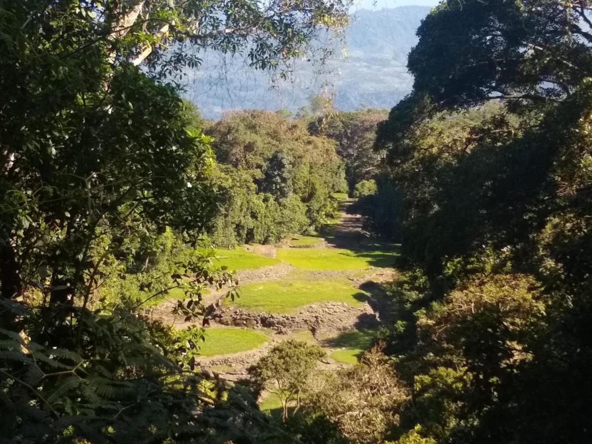 Hotel Green Mountain Turrialba Ngoại thất bức ảnh