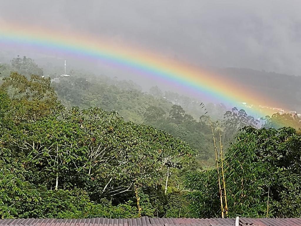 Hotel Green Mountain Turrialba Ngoại thất bức ảnh