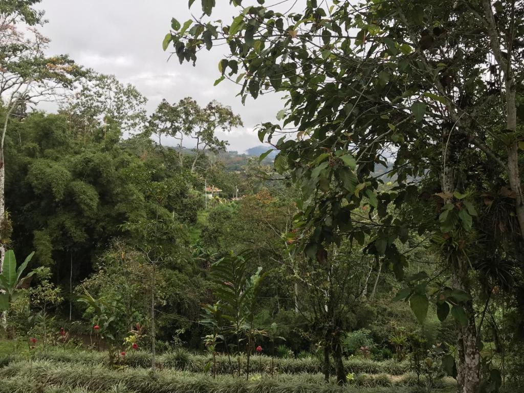 Hotel Green Mountain Turrialba Ngoại thất bức ảnh