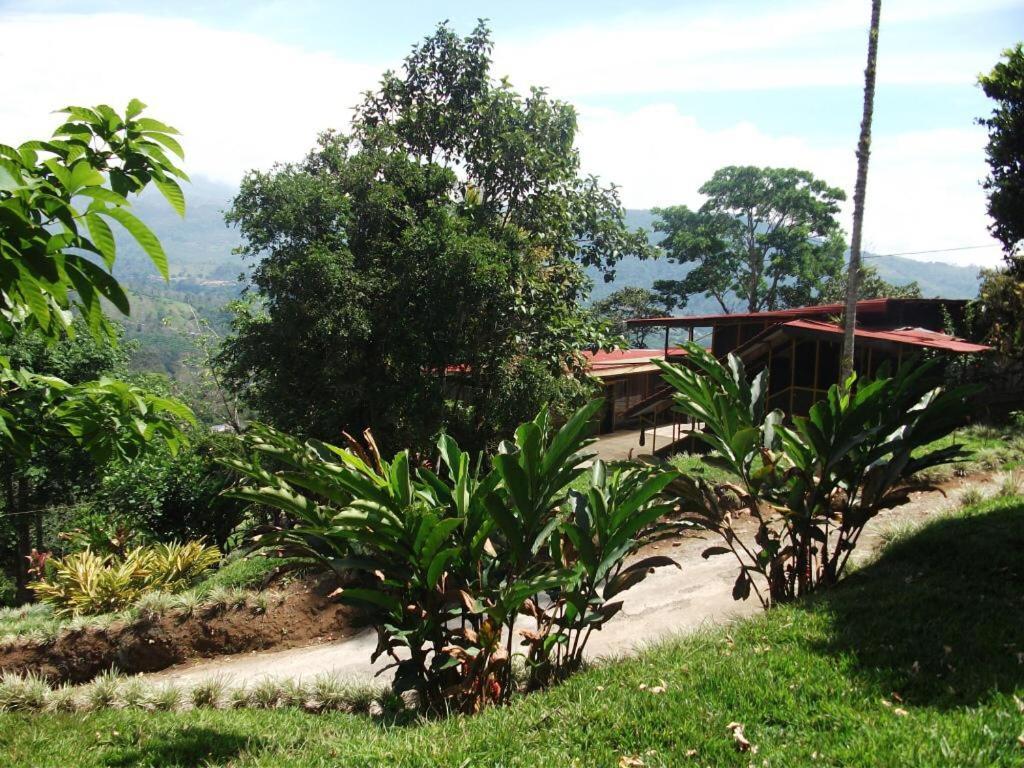 Hotel Green Mountain Turrialba Ngoại thất bức ảnh