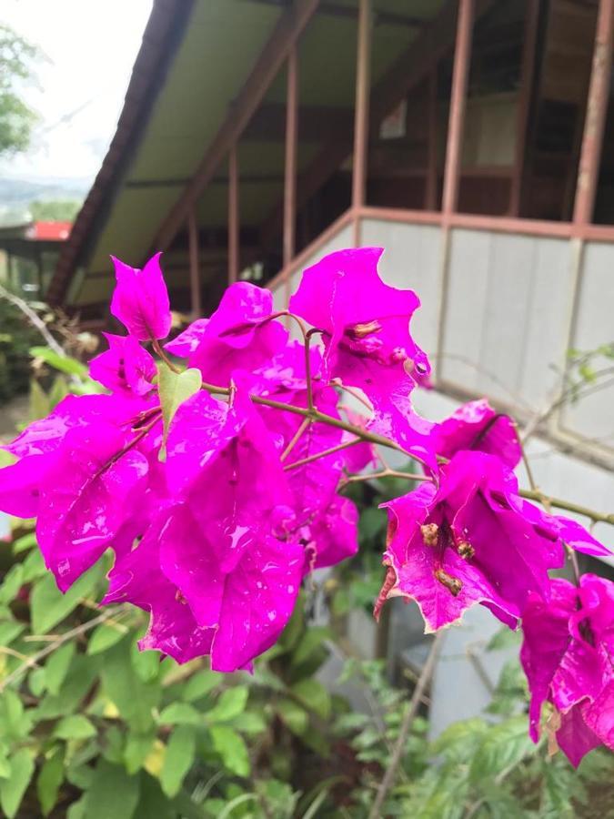 Hotel Green Mountain Turrialba Ngoại thất bức ảnh