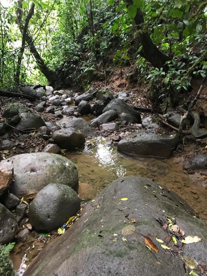 Hotel Green Mountain Turrialba Ngoại thất bức ảnh