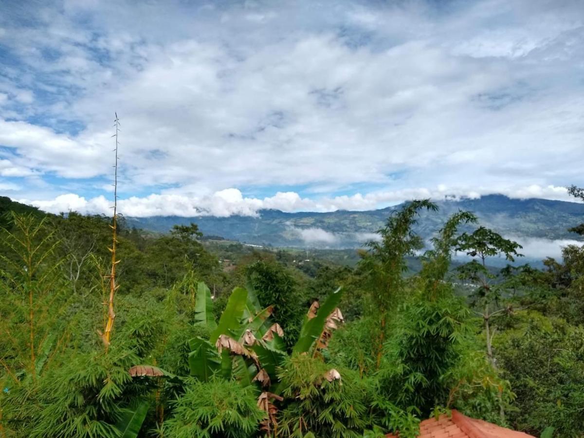 Hotel Green Mountain Turrialba Ngoại thất bức ảnh