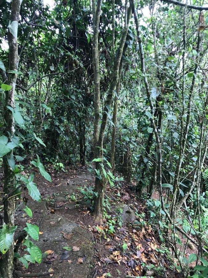 Hotel Green Mountain Turrialba Ngoại thất bức ảnh