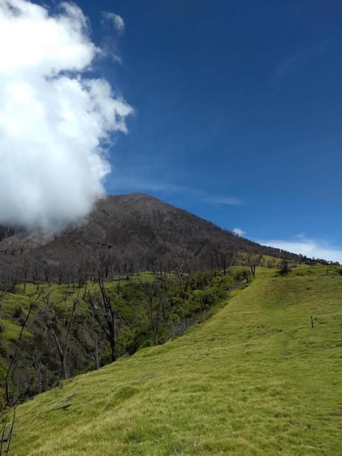 Hotel Green Mountain Turrialba Ngoại thất bức ảnh