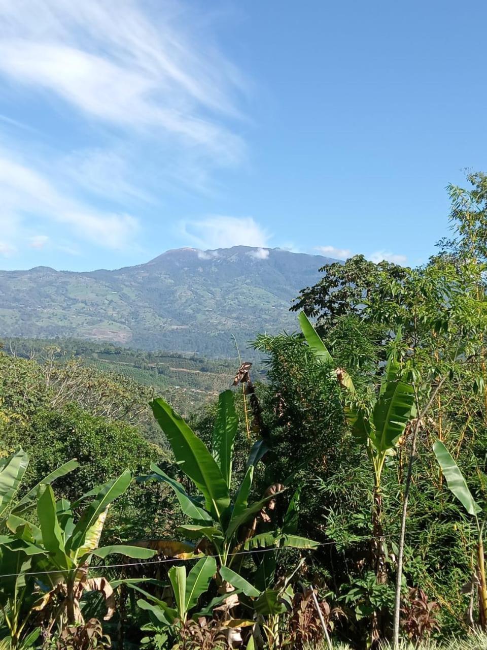 Hotel Green Mountain Turrialba Ngoại thất bức ảnh