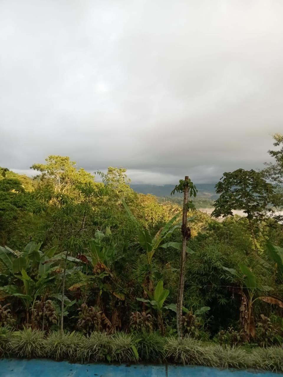 Hotel Green Mountain Turrialba Ngoại thất bức ảnh