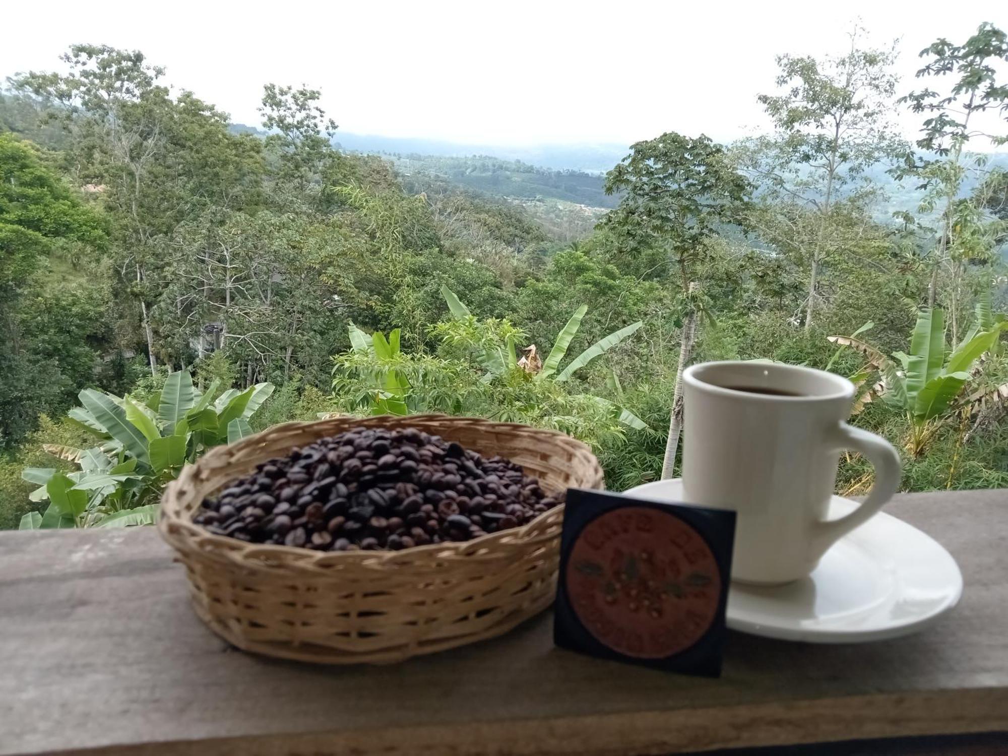 Hotel Green Mountain Turrialba Ngoại thất bức ảnh