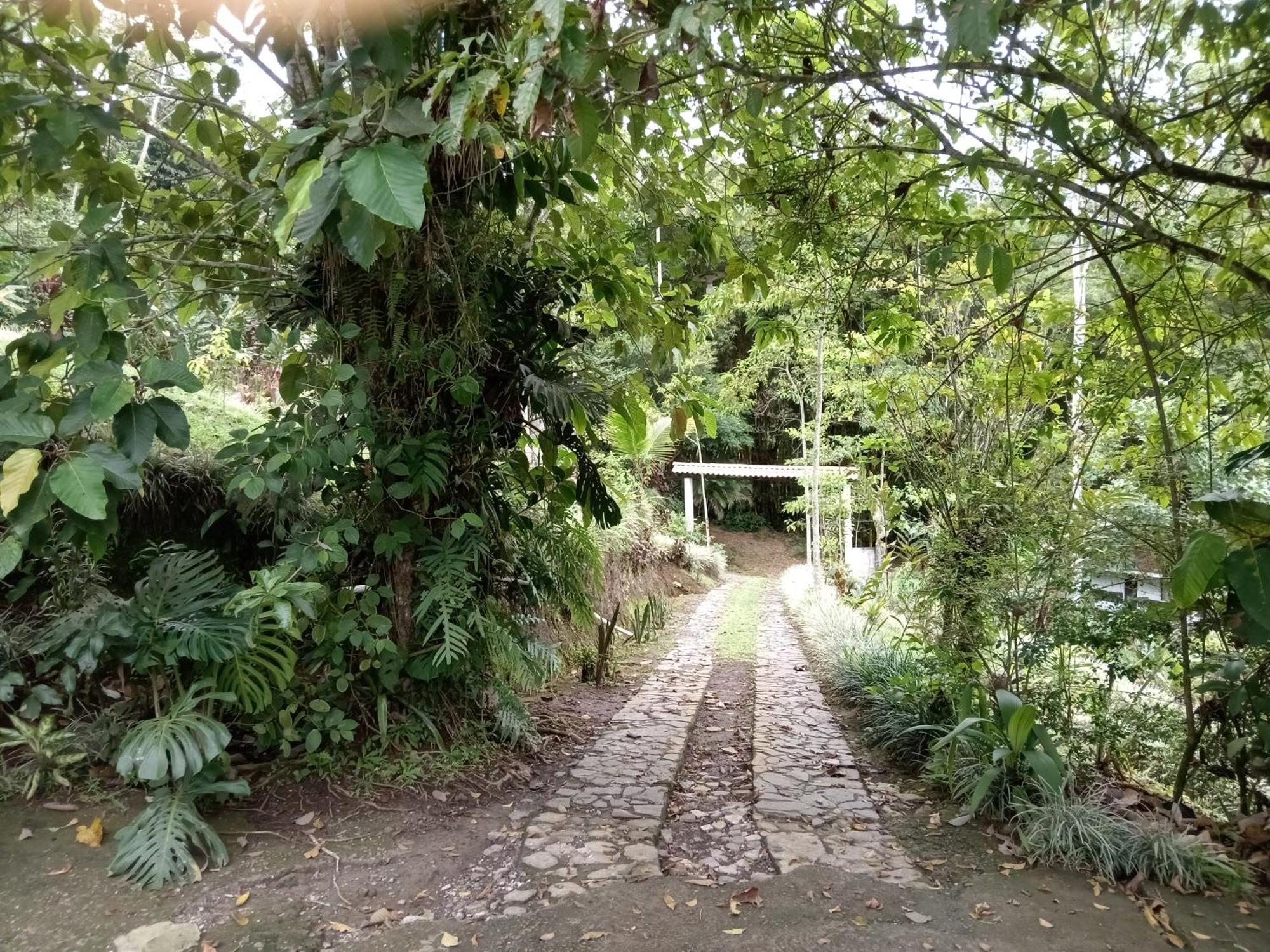 Hotel Green Mountain Turrialba Ngoại thất bức ảnh