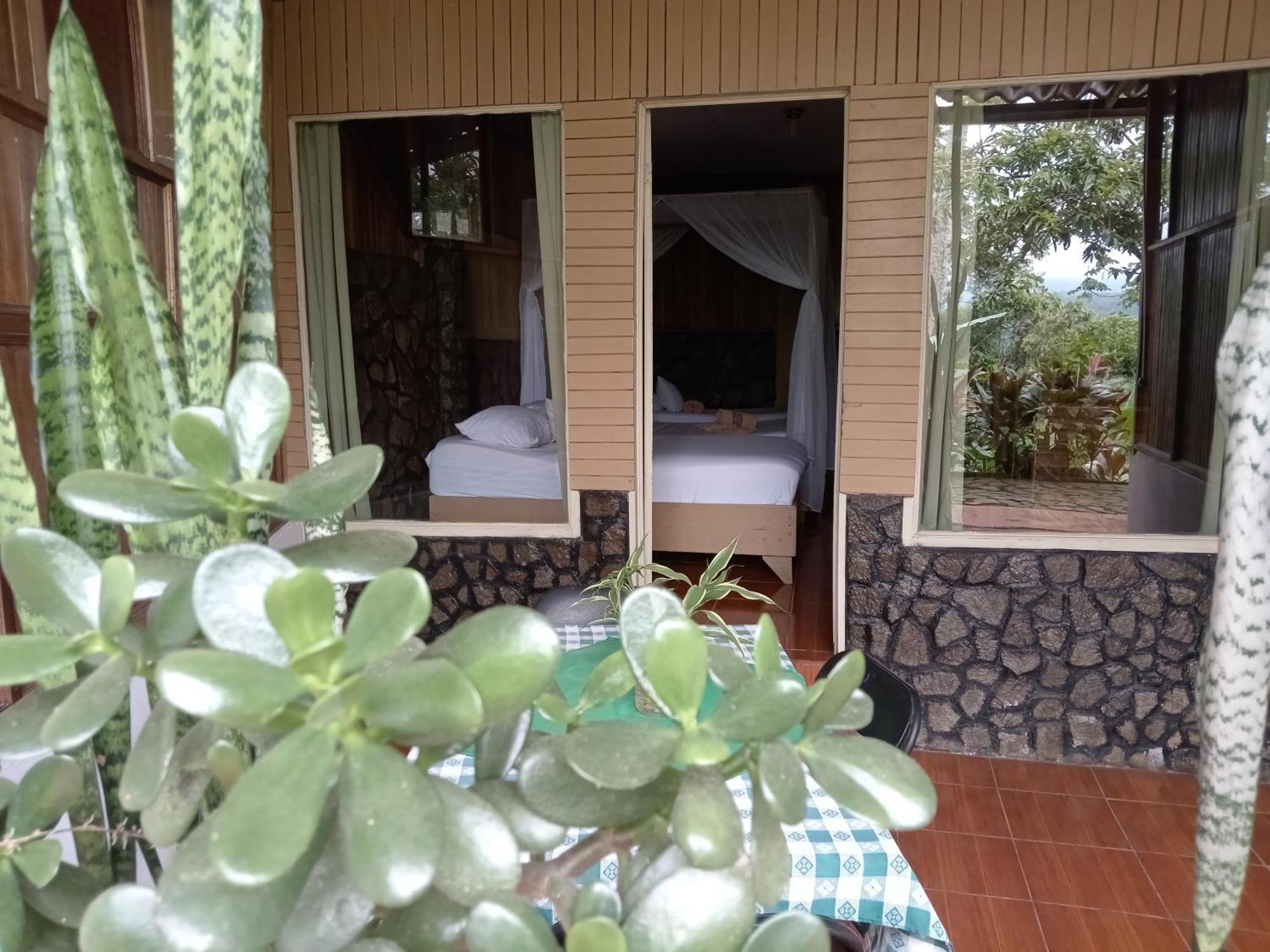 Hotel Green Mountain Turrialba Ngoại thất bức ảnh