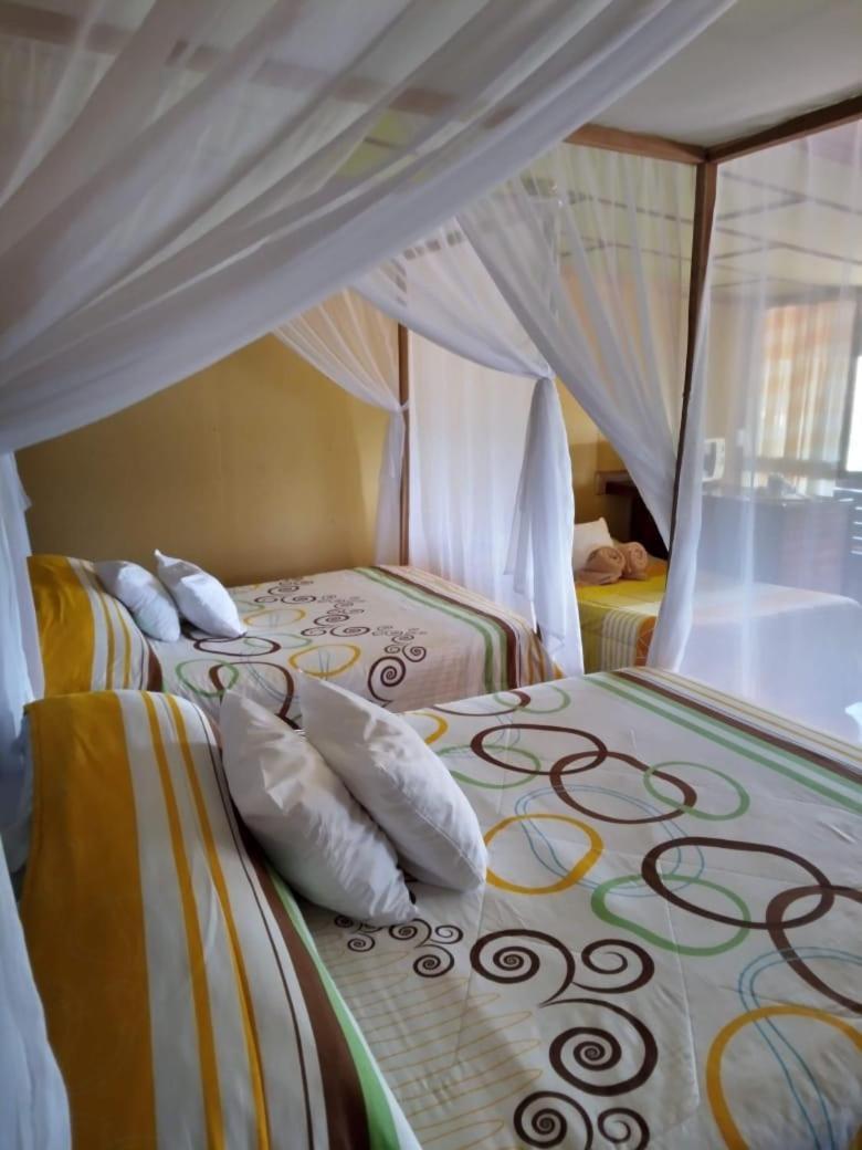 Hotel Green Mountain Turrialba Ngoại thất bức ảnh