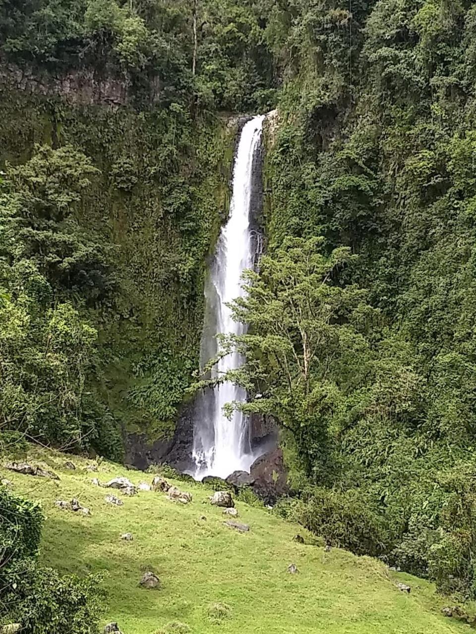 Hotel Green Mountain Turrialba Ngoại thất bức ảnh